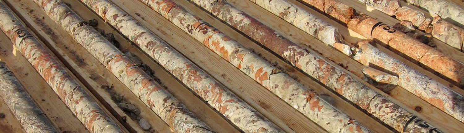 Trays of drill core from Sarfartoq