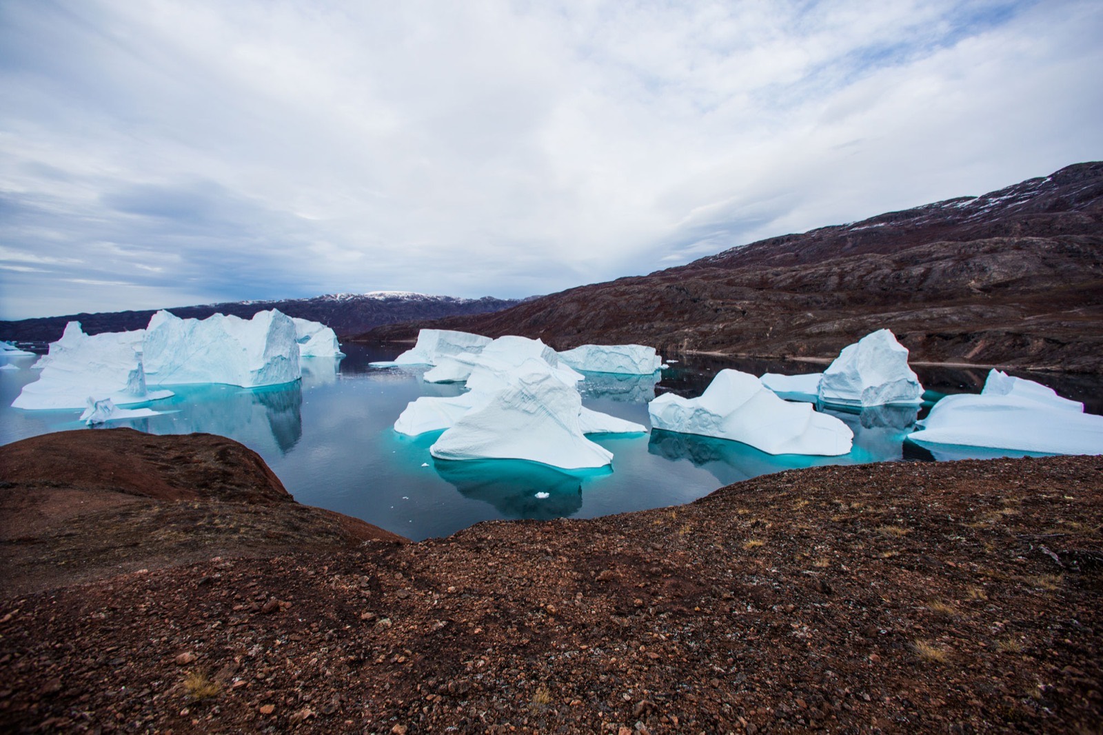 Icebergs in a fjord below dark red rock on the Greenland coast