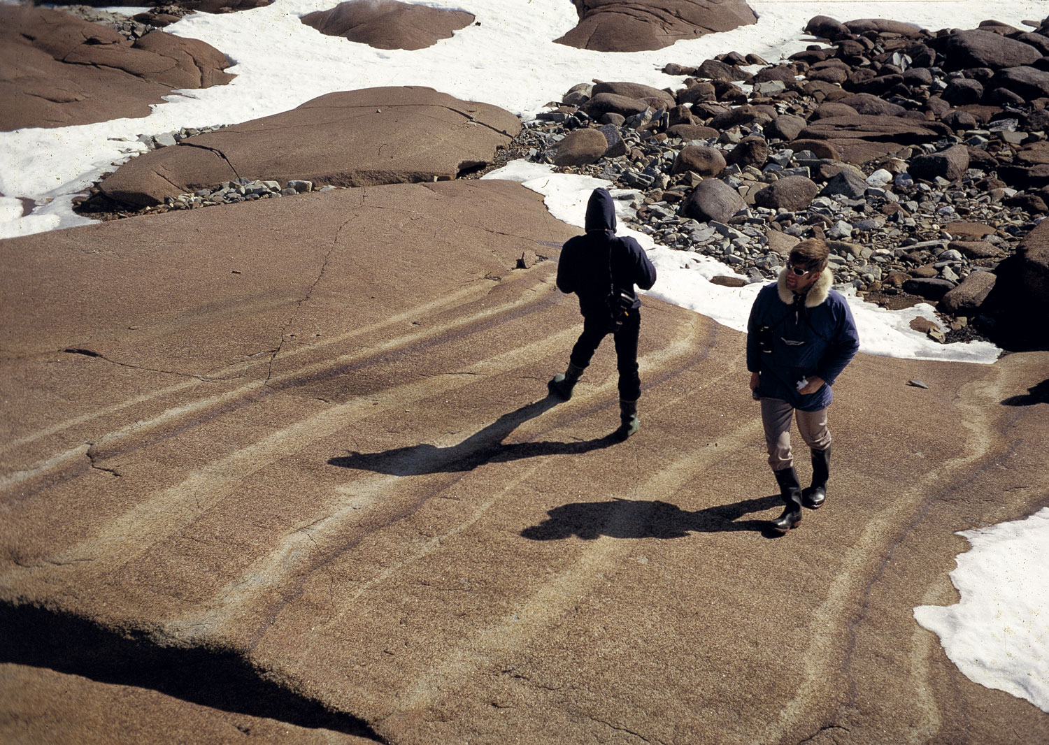 Igneous layering in the Skaergaard gabbro